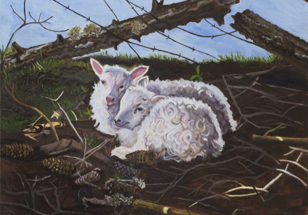 Two lambs resting under fallen branches.