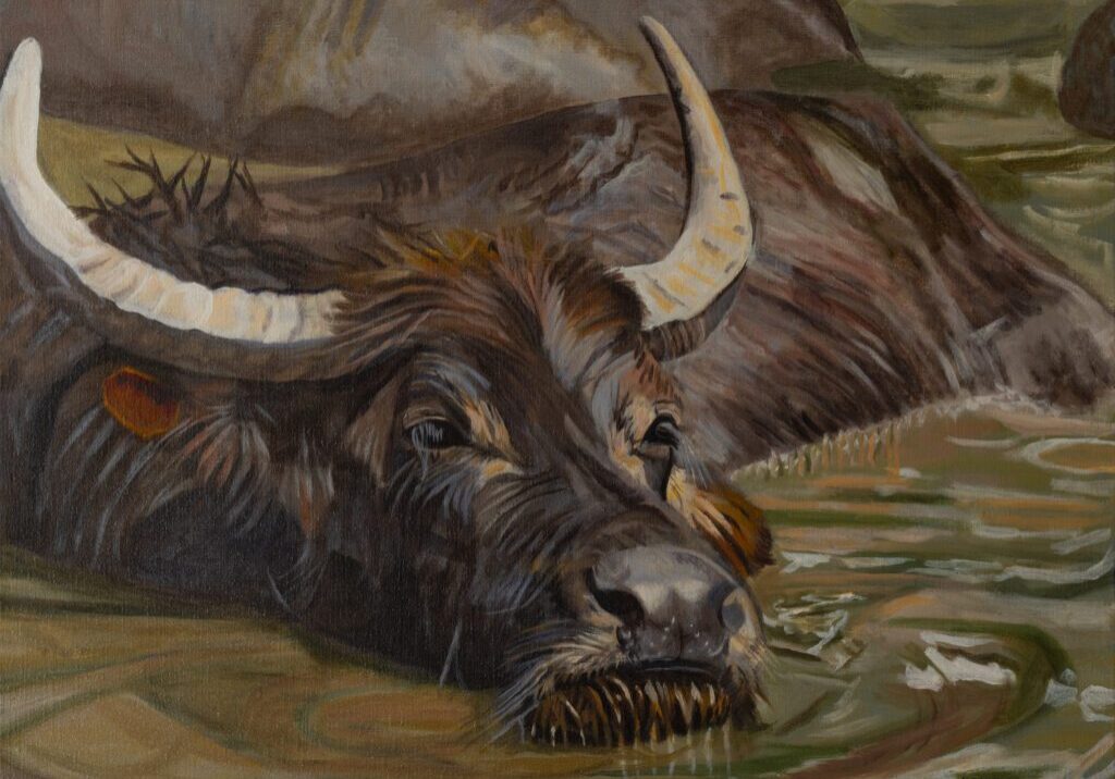 Water Buffalo Resting 32_x26_ Oil on Linen