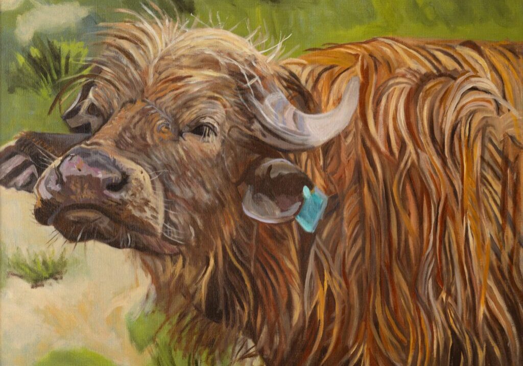 Water Buffalo Soaking Wet 32_x26_ Oil on Linen