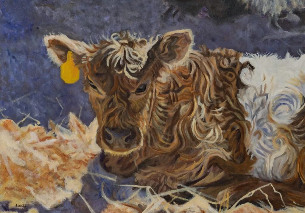 Calf resting on straw with yellow tag.